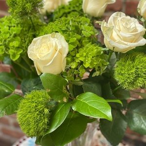 Meet your Posher, Anne